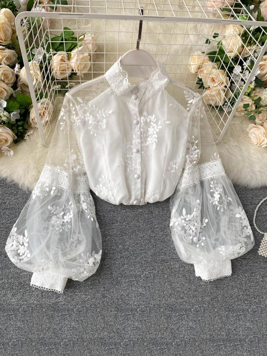 Embroidered Puff Mesh Sleeves